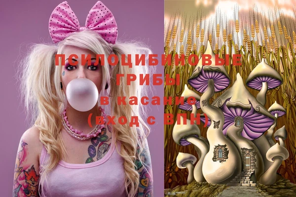 MESCALINE Кинешма