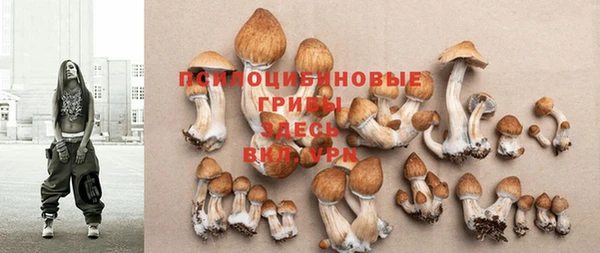 MESCALINE Кинешма